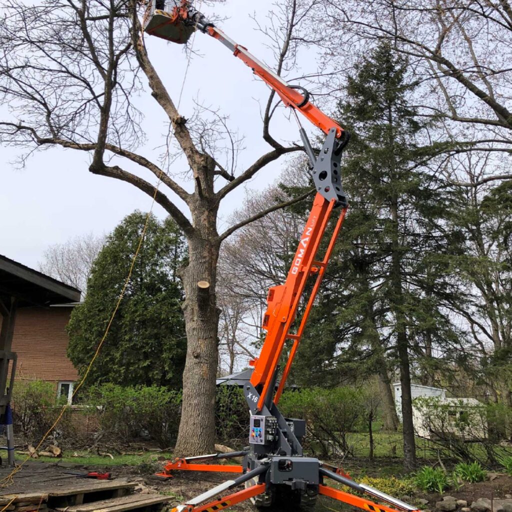 piattaforma-ragno-x14